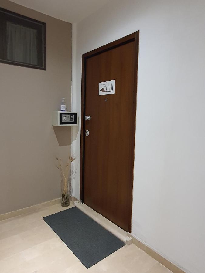 Terra Ciociara Bnb 弗罗西诺内 外观 照片